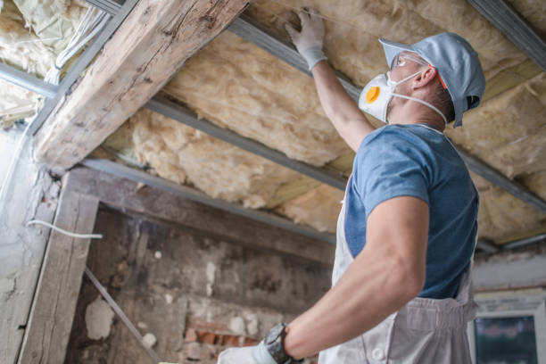 Garage Insulation Installation in Hedwig Village, TX